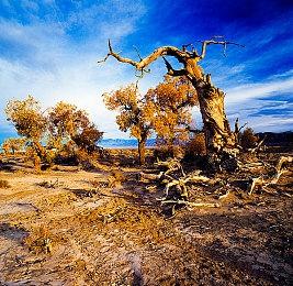 《王者荣耀》朋友节刘关张皮肤主题曲CG公布