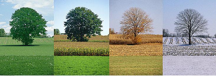 中式硬核科幻策略手游 《流浪地球手游》正式公布 官网预约开启