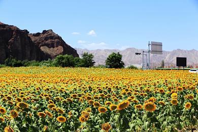 《战争机器：重装上阵》实体版竟仅面向PS5平台推出