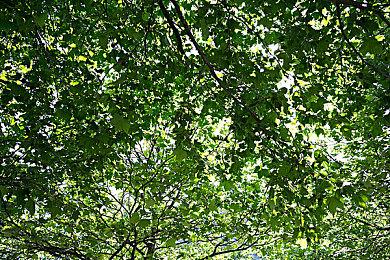 《Beloved Rapture》登陆Steam 复古像素风RPG